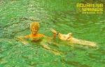 Retro Postcard - Ralph the Swimming Pig - Aquarena Springs - San Marcos, Texas