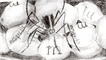 mosquito and m & m's