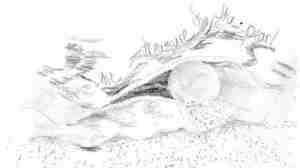 Treasure of the Pearl